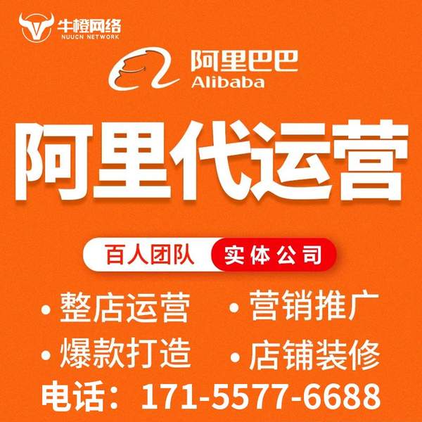 仪征电商代运营