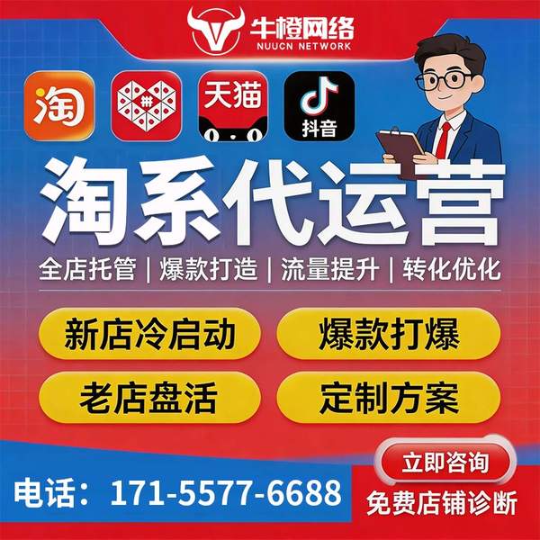 仪征电商代运营
