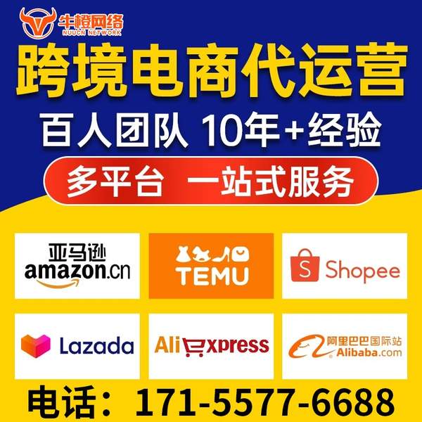 仪征电商代运营