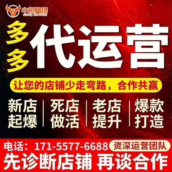 仪征电商代运营