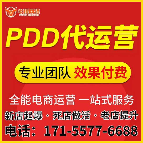 仪征电商代运营