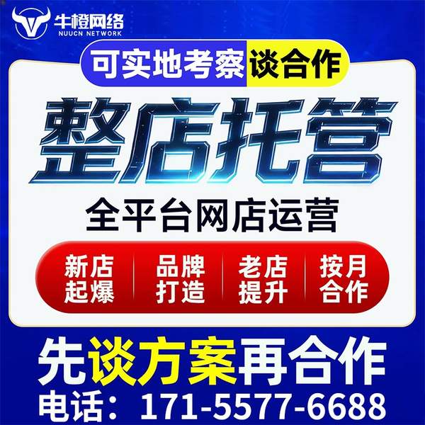 仪征电商代运营