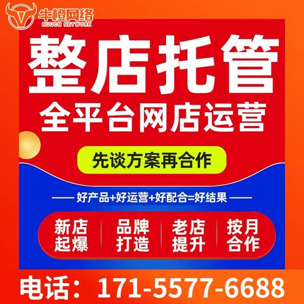 仪征电商代运营