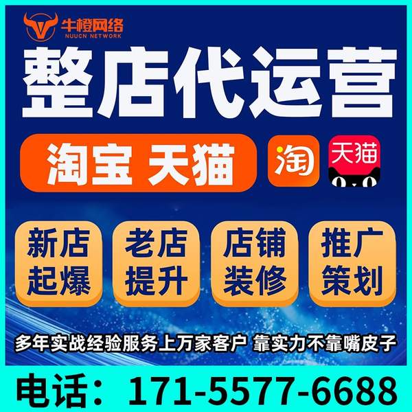 仪征电商代运营