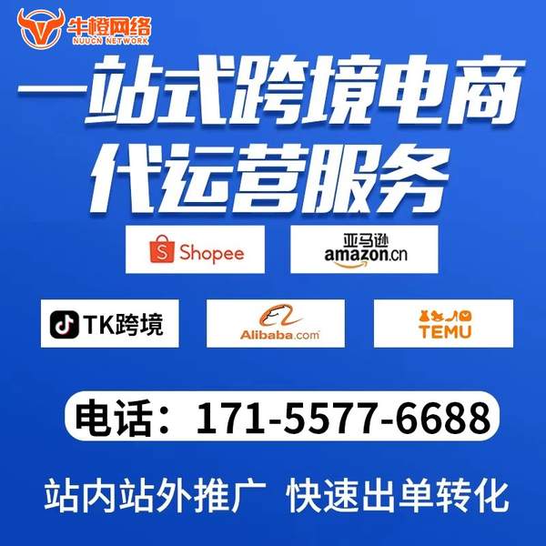 仪征电商代运营
