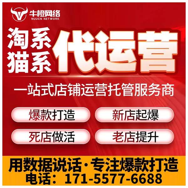 仪征电商代运营